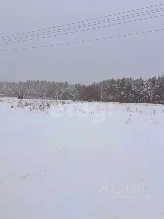 Участок в Воронежская область, Рамонский район, Ступинское с/пос, с. ... - Фото 1