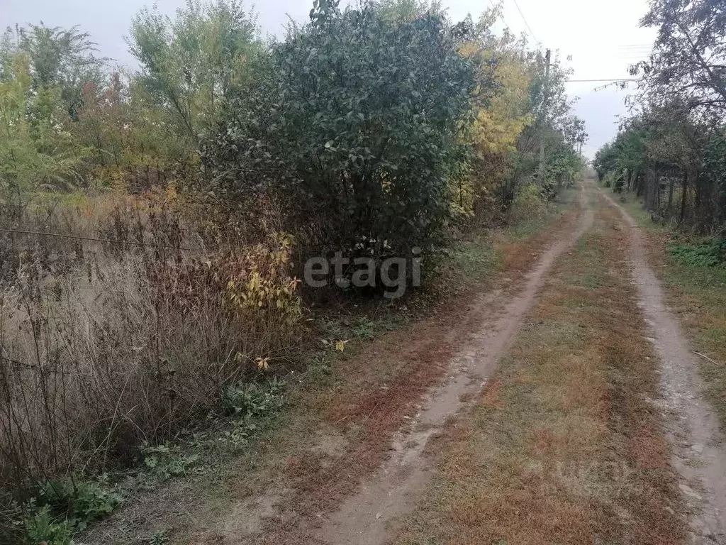 Участок в Саратовская область, Энгельсский район, Красноярское ... - Фото 0