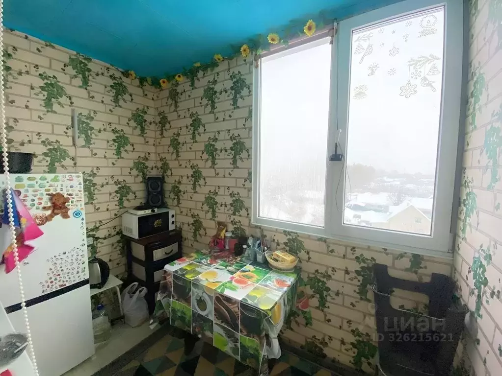 1-к кв. Алтайский край, Барнаул ул. Новосибирская, 38к2 (12.4 м) - Фото 1