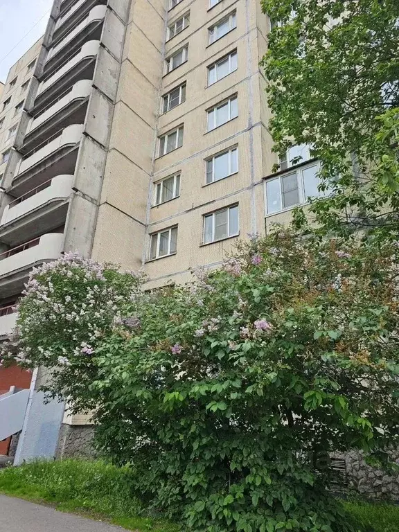 3-к кв. Санкт-Петербург ул. Коллонтай, 21К1 (70.0 м) - Фото 1