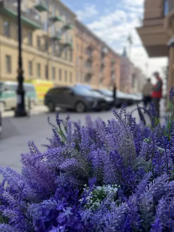 3-к кв. Санкт-Петербург ул. Рубинштейна, 5 (61.9 м) - Фото 2