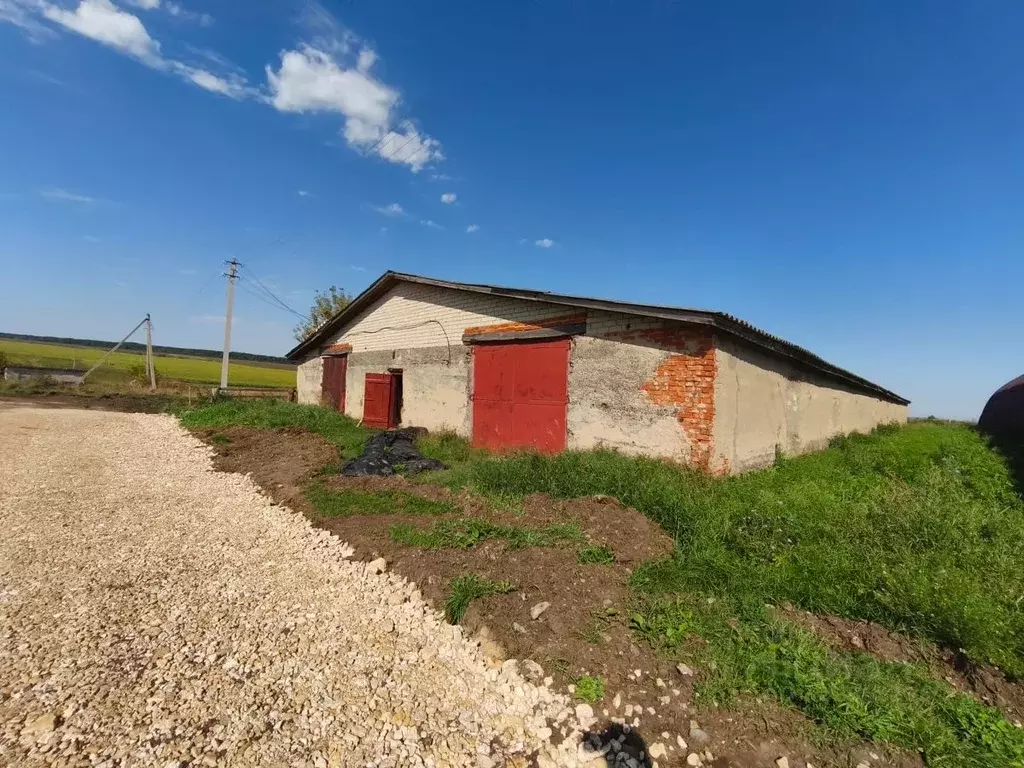 Склад в Татарстан, Апастово пгт ул. Шоссейная (790 м) - Фото 1