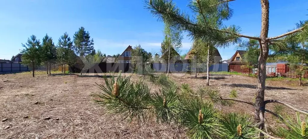Участок 8,5 сот. (СНТ, ДНП) - Фото 1