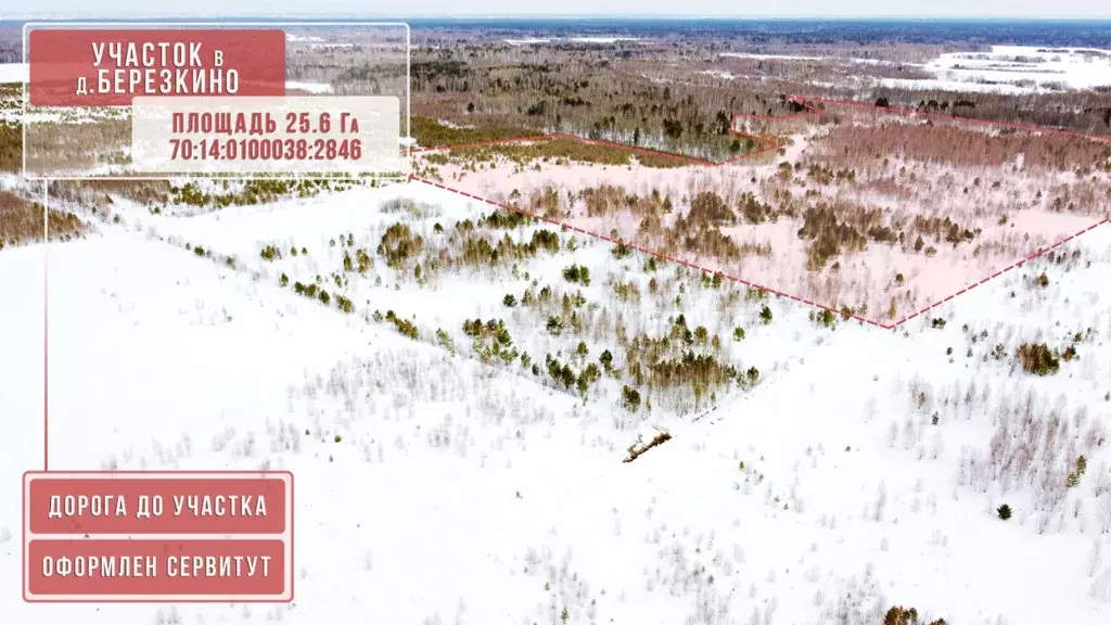 Участок в Томская область, Томский район, Зоркальцевское с/пос, д. ... - Фото 1