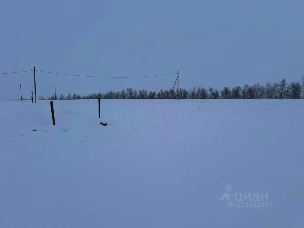 Участок в Саха (Якутия), Якутск городской округ, с. Хатассы  (14.0 ... - Фото 0