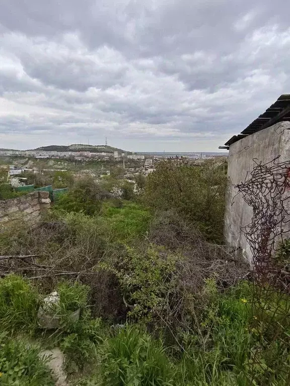 Участок в Крым, Феодосия муниципальный округ, Рассвет-2 СПК  (5.4 ... - Фото 1