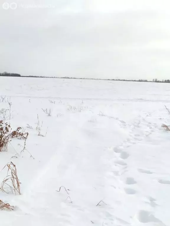 Участок в Тюмень, Ленинский округ (13.13 м) - Фото 0