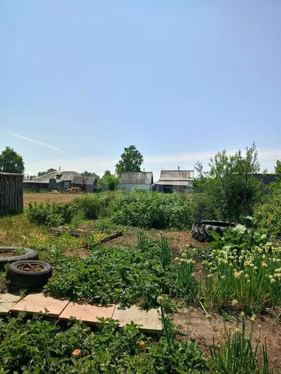 Дом в Алтайский край, с. Романово ул. Ползунова, 17 (136 м) - Фото 1