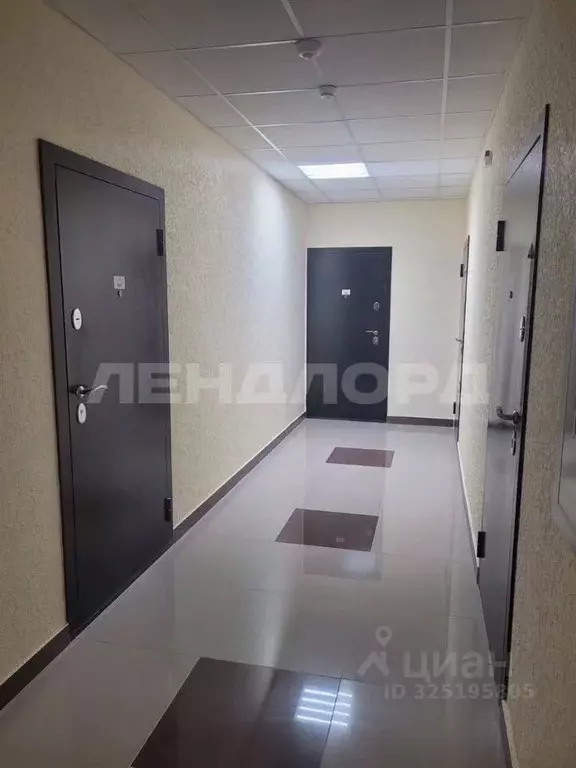 Студия Ростовская область, Ростов-на-Дону Берберовка мкр, ул. ... - Фото 2