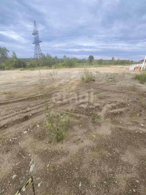 Участок в Амурская область, Благовещенский район, с. Чигири  (7.2 ... - Фото 1