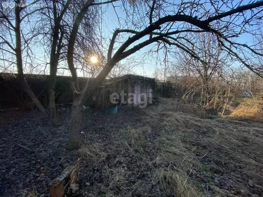 Участок в Калининград, СТ Дружба-Девау (4.4 м) - Фото 0