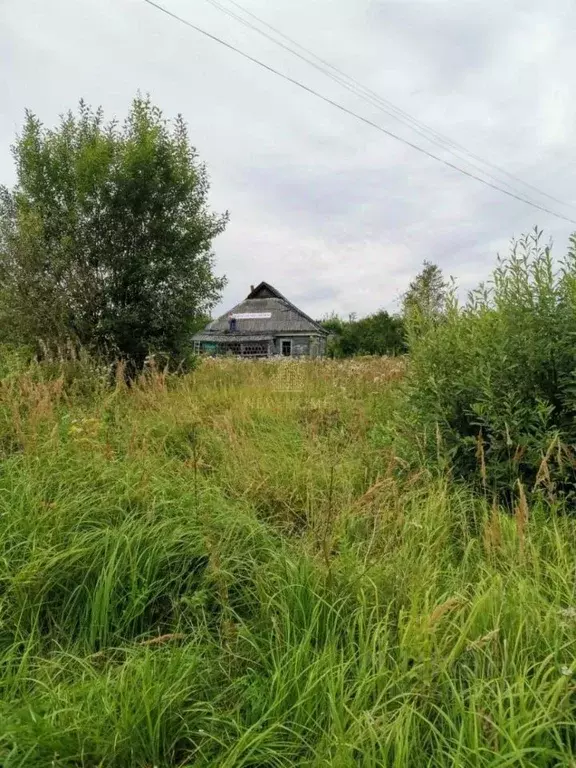 Дом в Смоленская область, с. Новодугино  (94 м) - Фото 0
