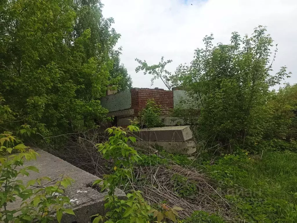 Участок в Новосибирская область, Новосибирский район, Новолуговской ... - Фото 1