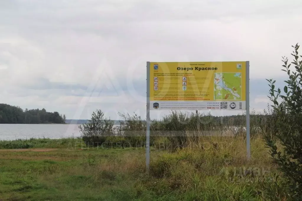 Участок в Ленинградская область, Приозерский район, Красноозерное ... - Фото 1