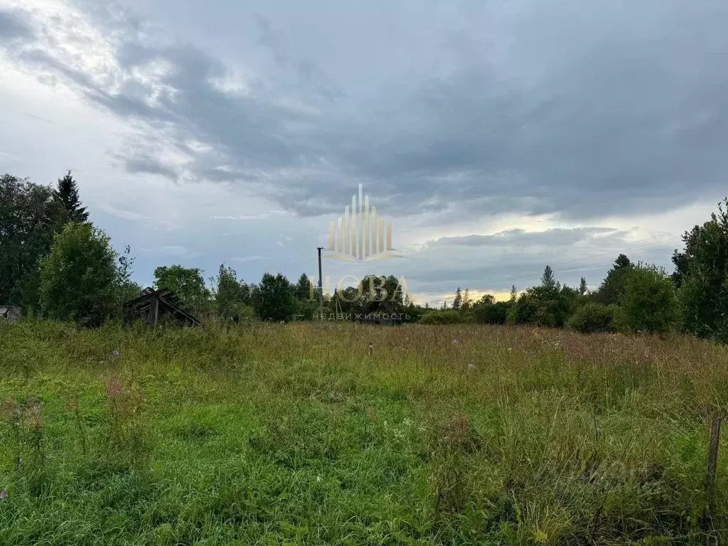 Участок в Ленинградская область, Волосовский район, Рабитицкое с/пос, ... - Фото 1