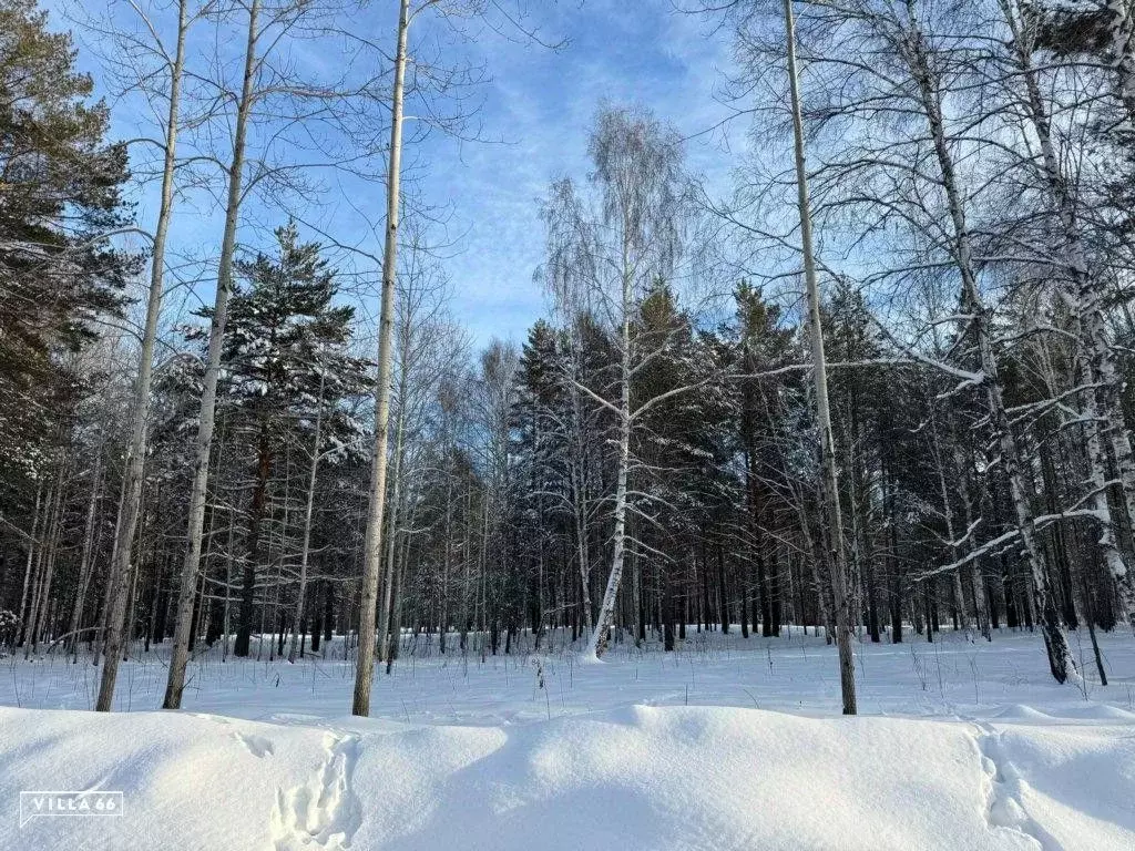 Участок в Свердловская область, Сысертский городской округ, пос. ... - Фото 0