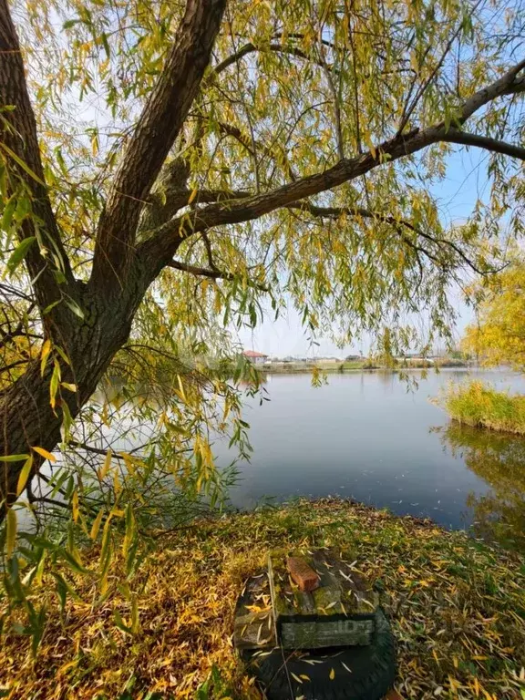 Участок в Краснодарский край, Кореновск Колхозная ул. (15.0 сот.) - Фото 2