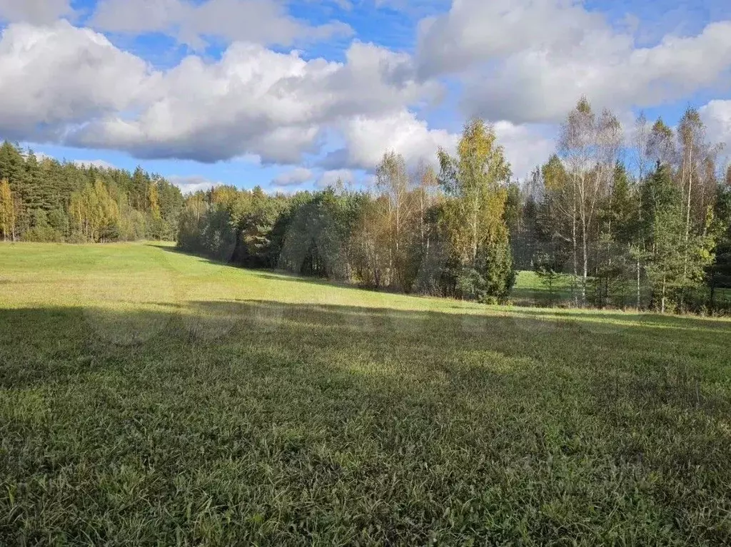 Участок в Ленинградская область, Приозерский район, Раздольевское ... - Фото 2