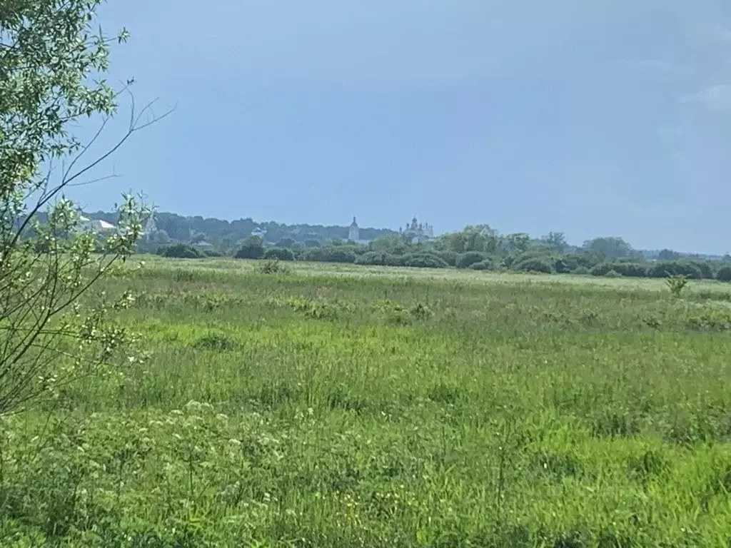 Участок в Ярославская область, Переславль-Залесский городской округ, ... - Фото 0