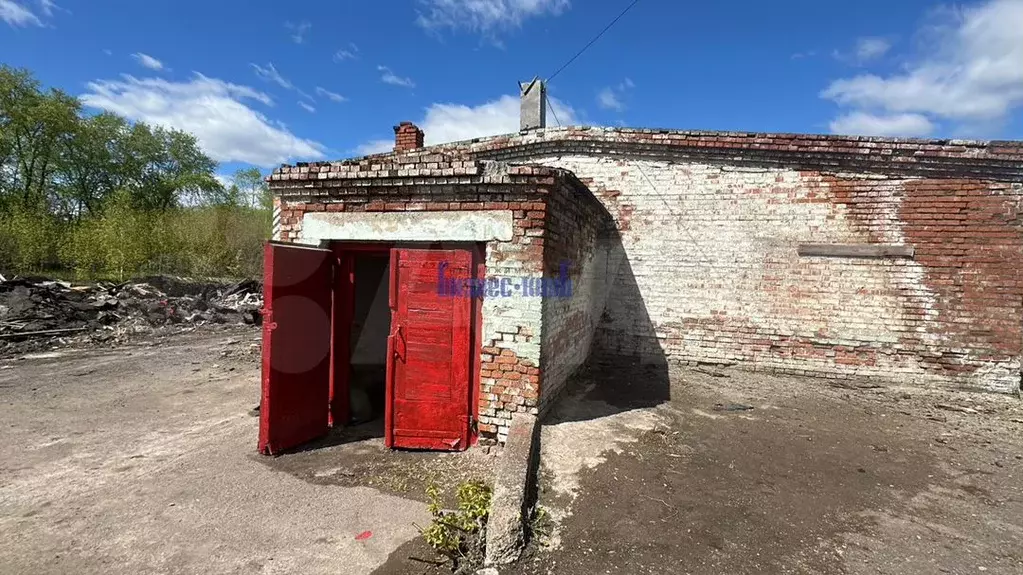 Сдам помещение свободного назначения, 250 м - Фото 0