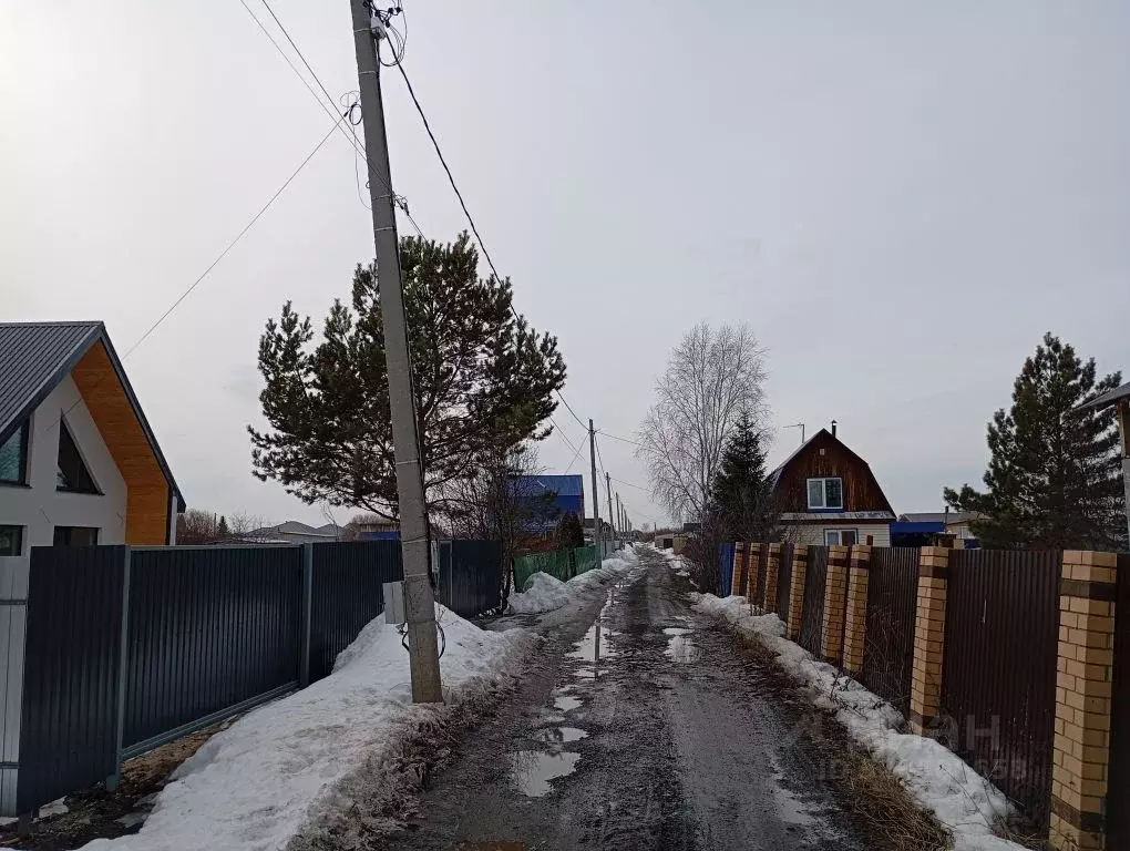 Участок в Тюменская область, Тюмень Царево садовое товарищество, 126 ... - Фото 1