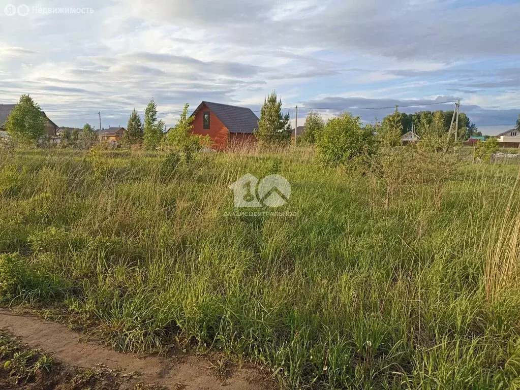 Участок в Бердск, СНТ Марьин Лог, 44-я улица, 11 (6 м) - Фото 2