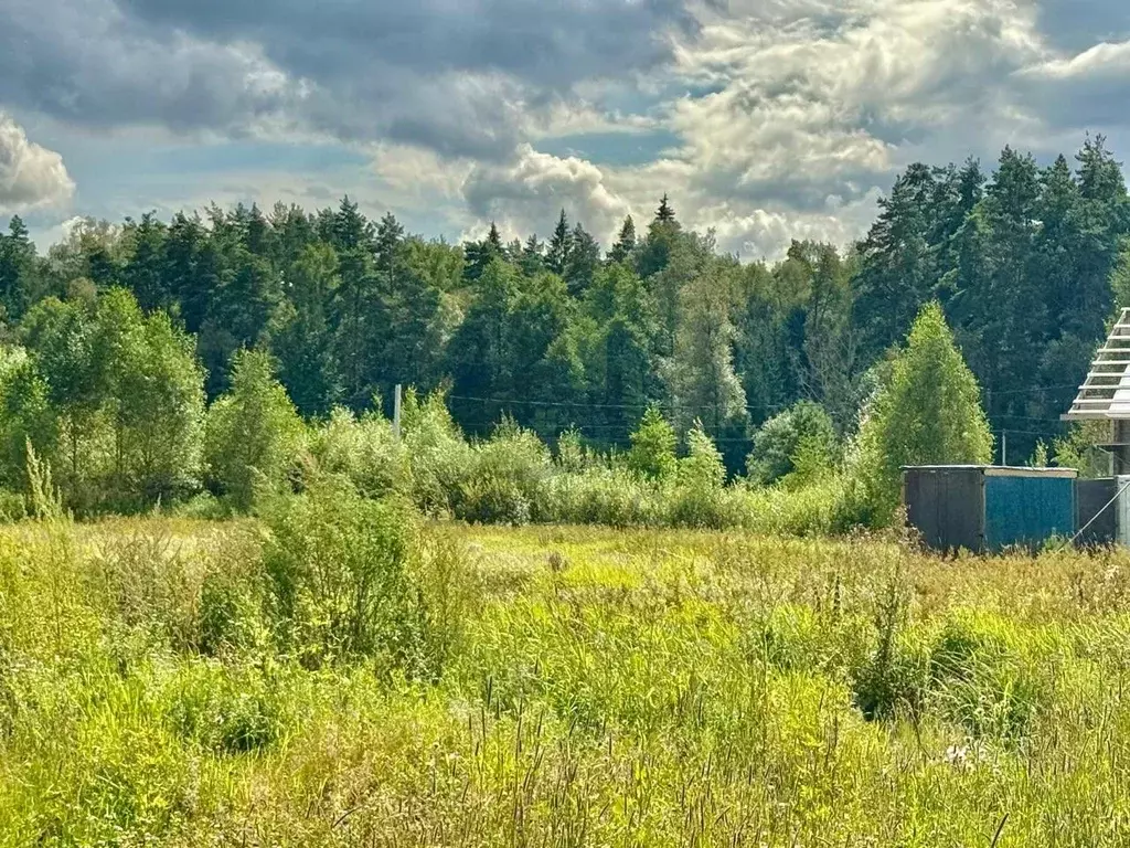 Участок в Московская область, Раменский муниципальный округ 24 (13.48 ... - Фото 0