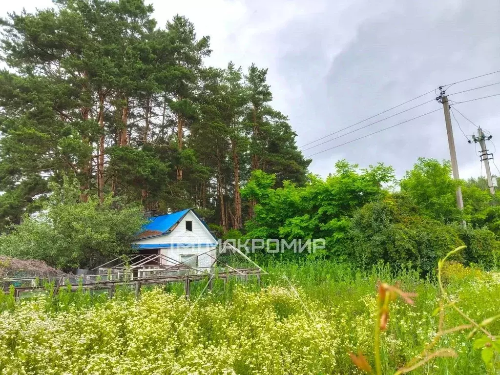 Участок в Орловская область, Орел Зарыбинская дача СНТ,  (6.1 сот.) - Фото 0