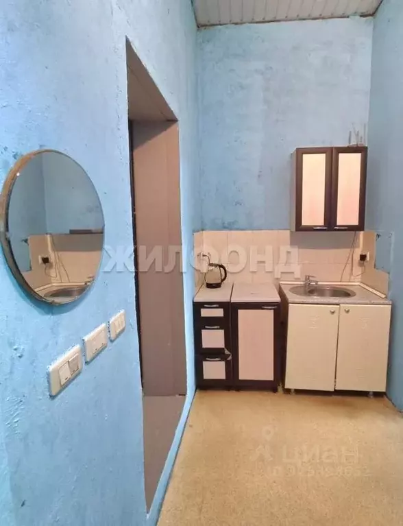 1-к кв. Алтайский край, Барнаул Северо-Западная ул., 56 (20.0 м) - Фото 2