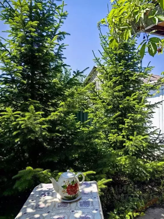 Дом в Омская область, Омск пос. Черемушки, 682 (33 м) - Фото 1