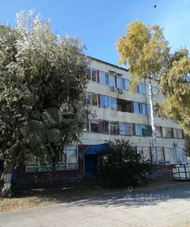 Помещение свободного назначения в Саратовская область, Калининск ул. ... - Фото 1