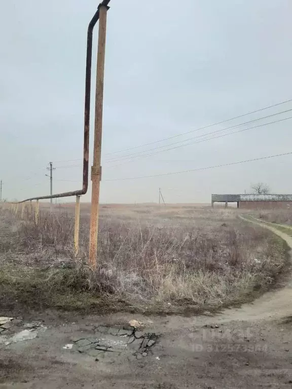 Участок в Ростовская область, Неклиновский район, с. Николаевка  ... - Фото 0