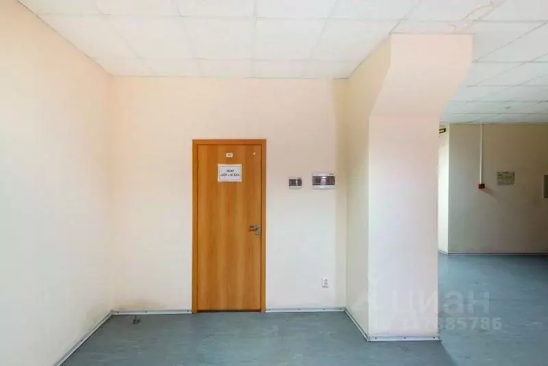 Офис в Санкт-Петербург просп. Тореза, 68Ж (23 м) - Фото 0