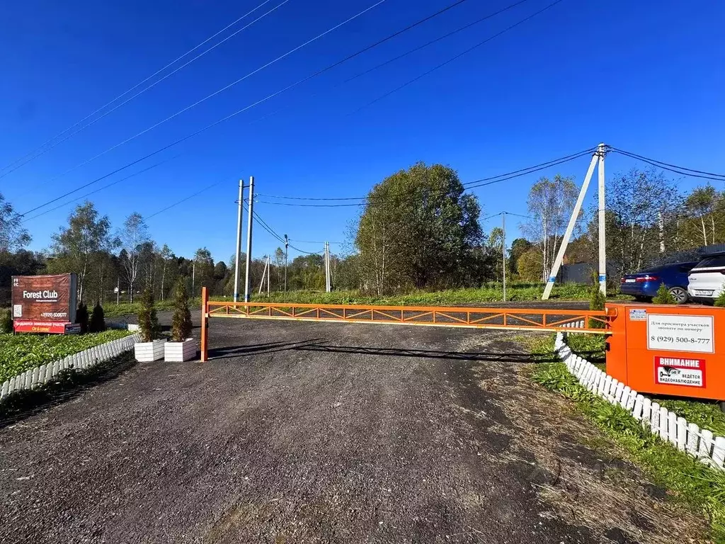 Участок в Московская область, Дмитровский муниципальный округ, Форест ... - Фото 1