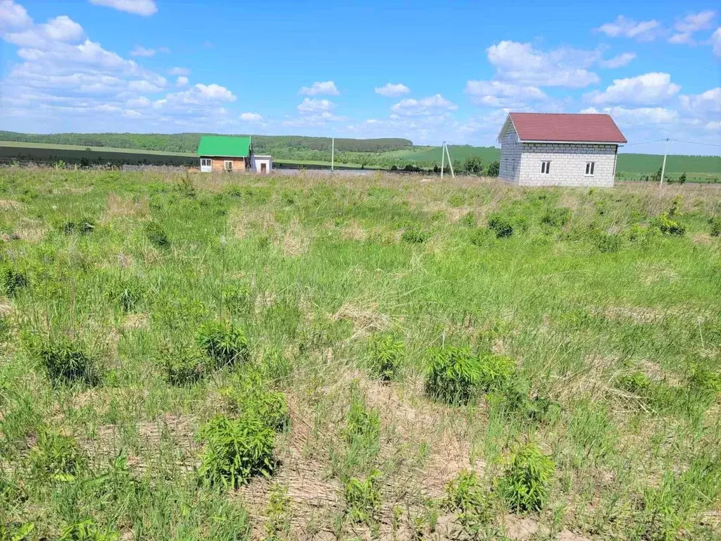 Дальнее Константиново Нижегородская область. Карьер Дальнее Константиново.