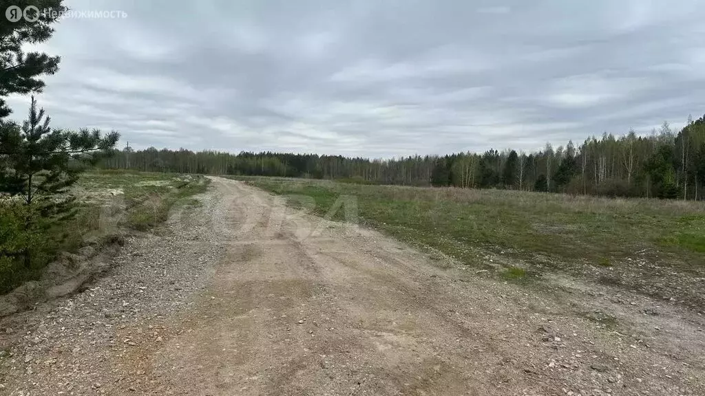 Участок в Свердловская область, Тугулымский муниципальный округ, ... - Фото 0