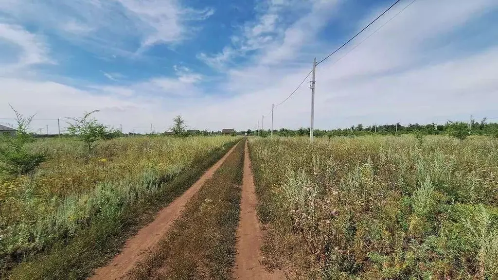 Участок в Оренбургская область, Бузулукский район, Новоалександровский ... - Фото 2