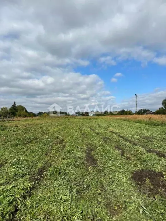 Участок в Башкортостан, Стерлитамакский район, Куганакский сельсовет, ... - Фото 2