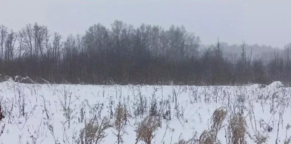 Участок в Московская область, Дмитров  (15.12 сот.) - Фото 1