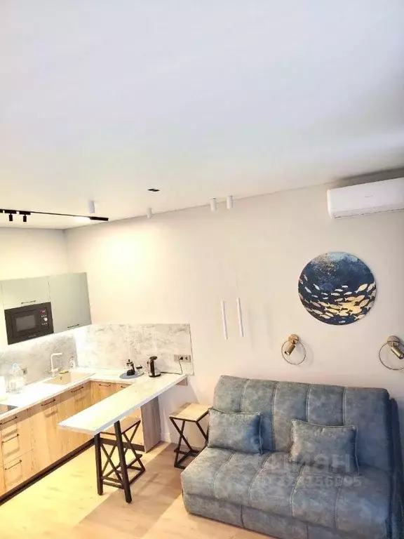 Студия Москва ул. Крузенштерна, 2 (30.0 м) - Фото 1