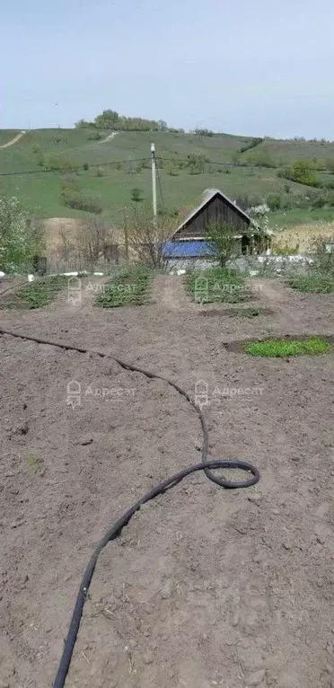 Дом в Волгоградская область, Городищенский район, Краснопахаревское ... - Фото 0