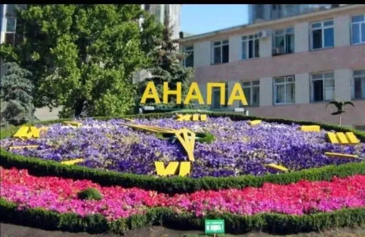 1-к кв. Краснодарский край, Анапа ул. Ленина, 15 (40.0 м) - Фото 2