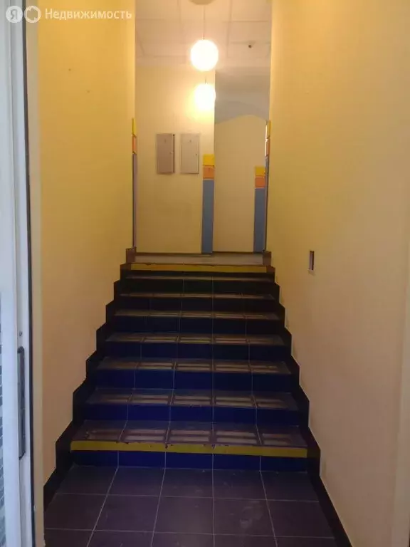 Торговая площадь (252.5 м) - Фото 2