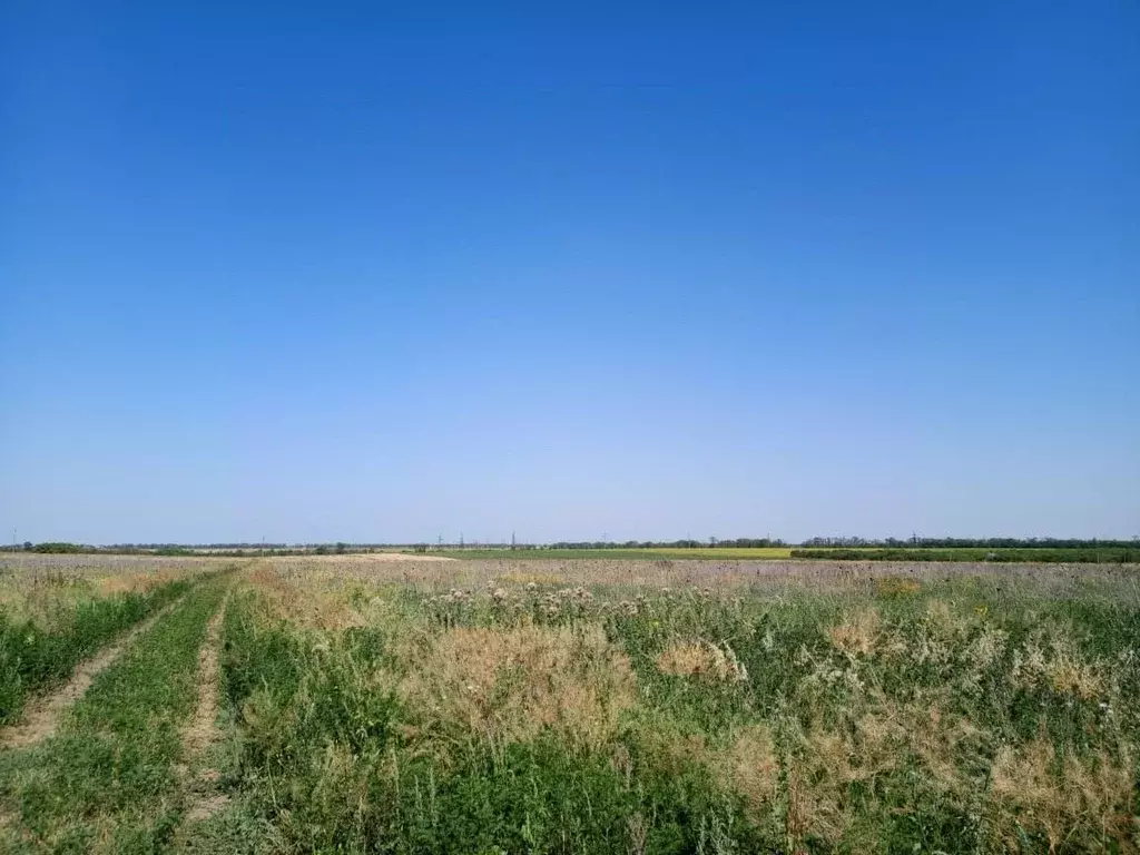 Участок в Краснодарский край, Ейск Лотос СНТ,  (5.0 сот.) - Фото 1