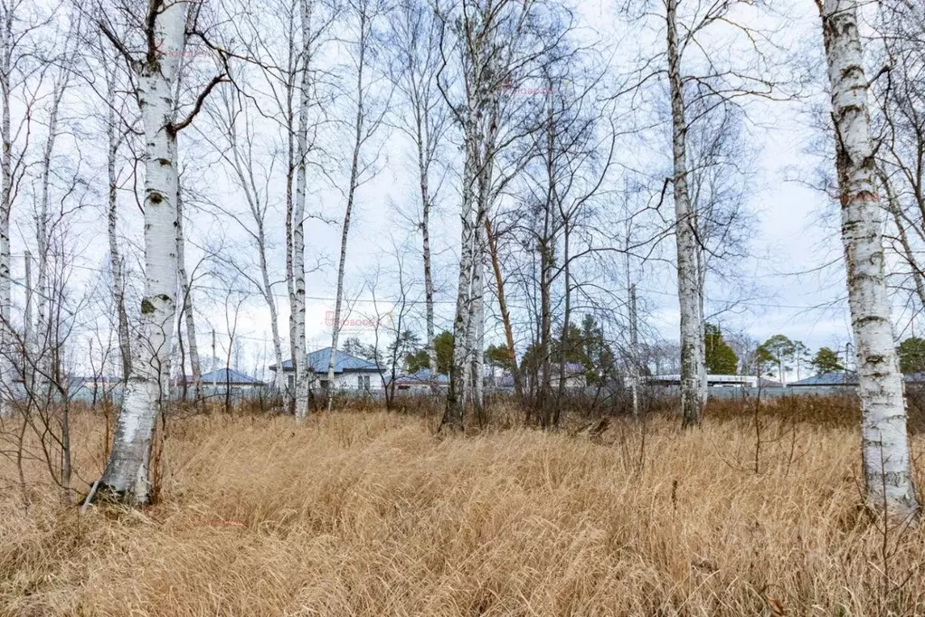 Участок в Свердловская область, Екатеринбург проезд 11-й Кианитовый ... - Фото 1