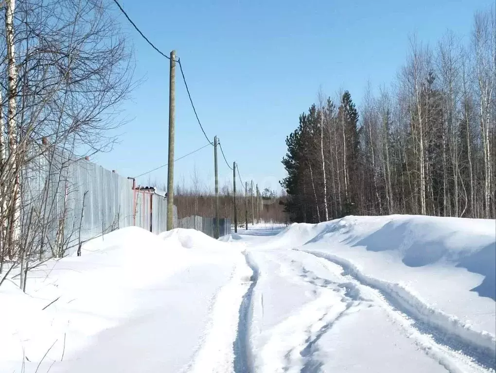 Участок в Ханты-Мансийский АО, Ханты-Мансийск Медик СОТ, 1 (10.0 сот.) - Фото 0