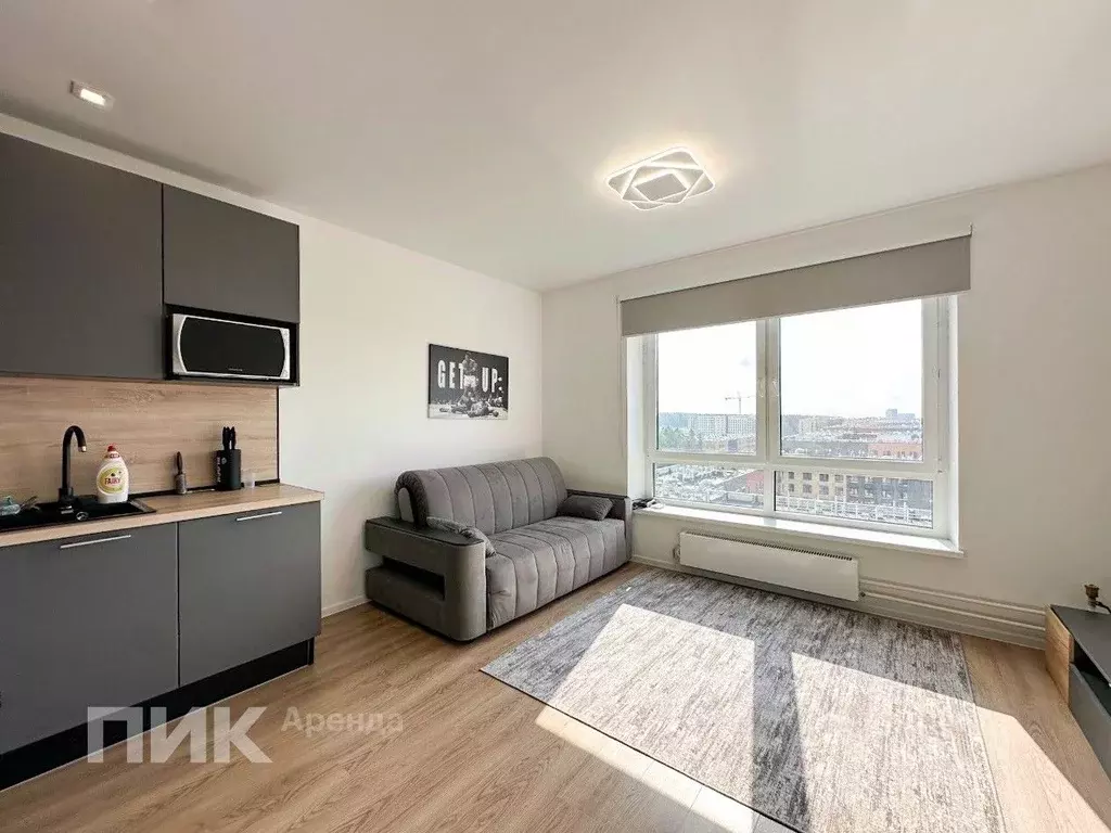 Студия Москва ул. Усадебный Парк, 7 (23.0 м) - Фото 1