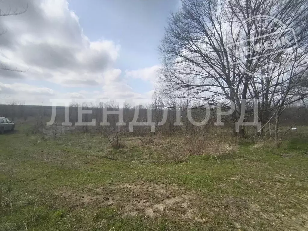 Участок в Ростовская область, Родионово-Несветайский район, Волошино ... - Фото 0