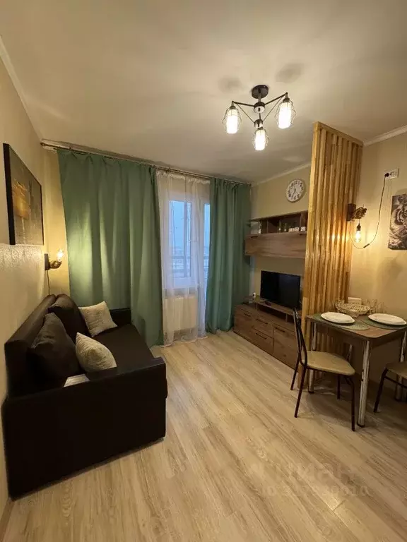 Студия Санкт-Петербург наб. Реки Каменки, 19к4 (20.0 м) - Фото 1
