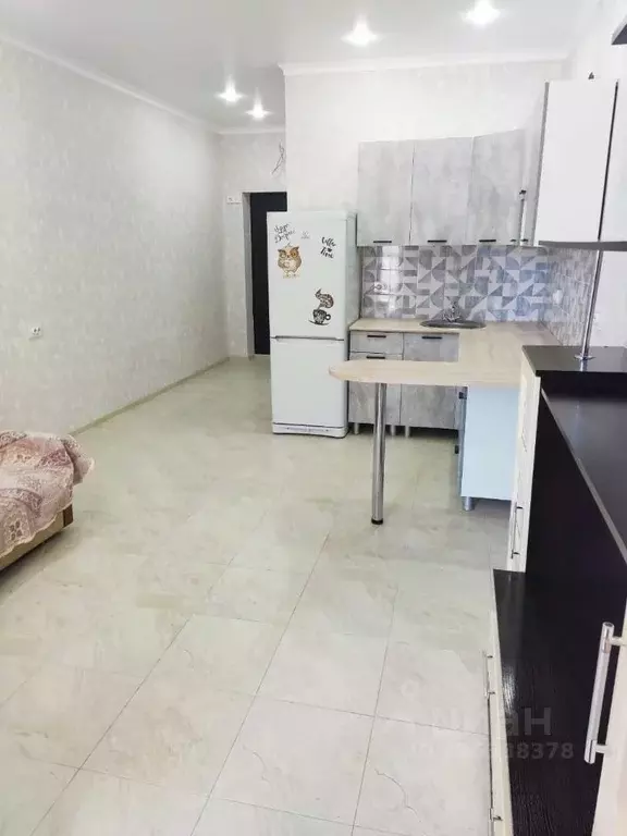 Студия Ростовская область, Ростов-на-Дону Привокзальная ул., 3/1 (28.0 ... - Фото 1